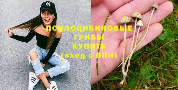 хмурый Алексеевка