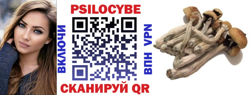 купить цена Сольвычегодск Галлюциногенные грибы Magic Shrooms