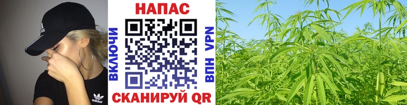 дарнет шоп  Сольвычегодск  МАРИХУАНА SATIVA & INDICA 